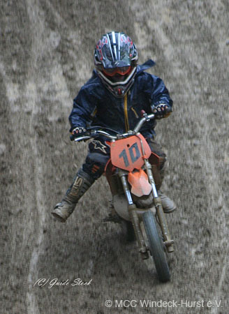 229 Kopie